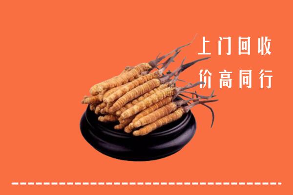 高价求购：普洱市景东县回收散虫草