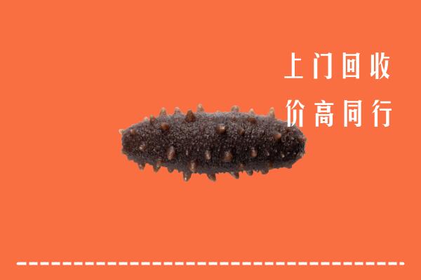高价求购：普洱市景东县回收海参