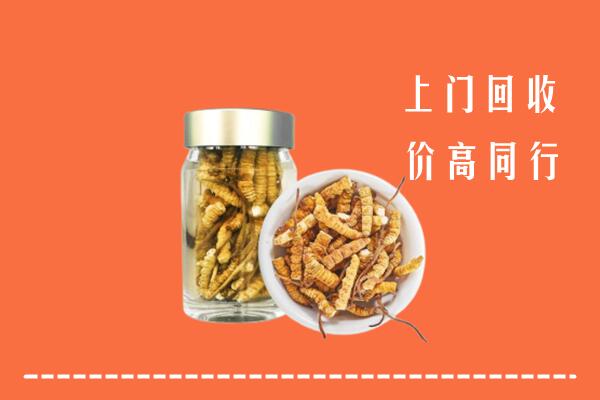 普洱市景东县回收冬虫夏草