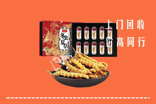 普洱市景东县回收虫草